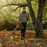 Informacje o dmuchawach do liści