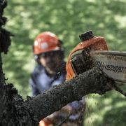 Informacje o podkrzesywarkach