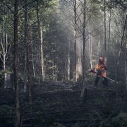 Informacje o wycinarkach profesjonalnych