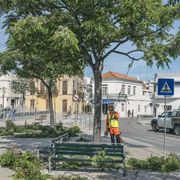 Informacje o podkrzesywarkach profesjonalnych