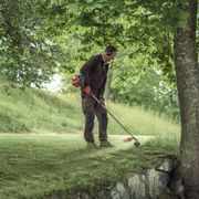 Zakup podkaszarki do trawy